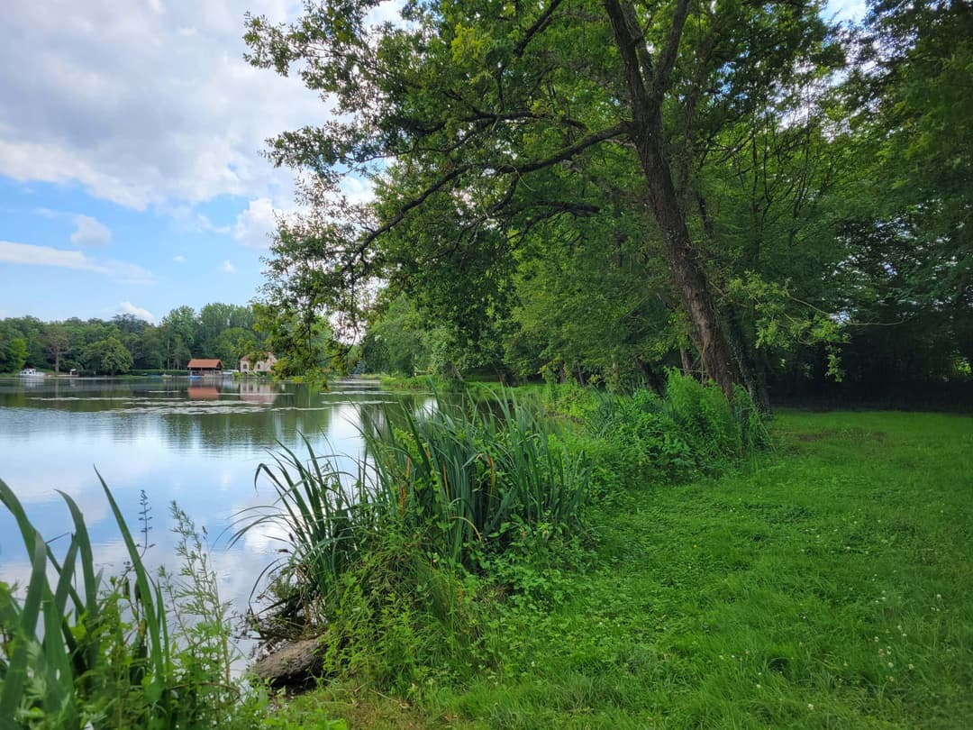Roulotte au fond du jardin  et son étang de 9 hectares avec de gros spécimens 