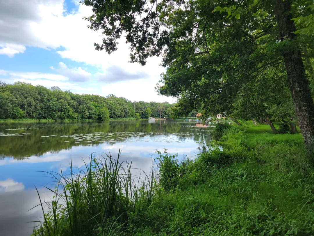 Roulotte au fond du jardin  et son étang de 9 hectares avec de gros spécimens 