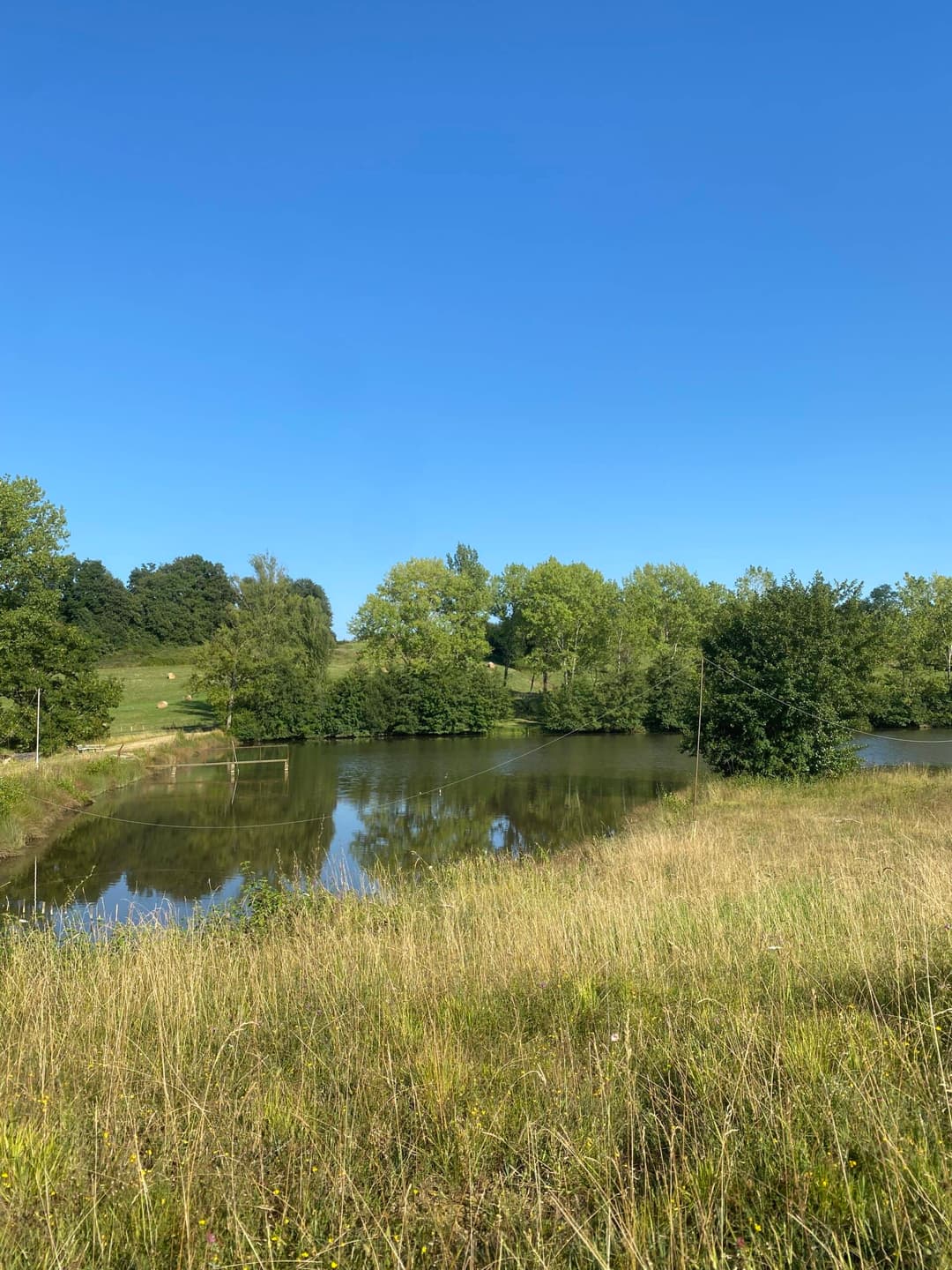 Étang de 8 hectares à louer dans le département du Gers 