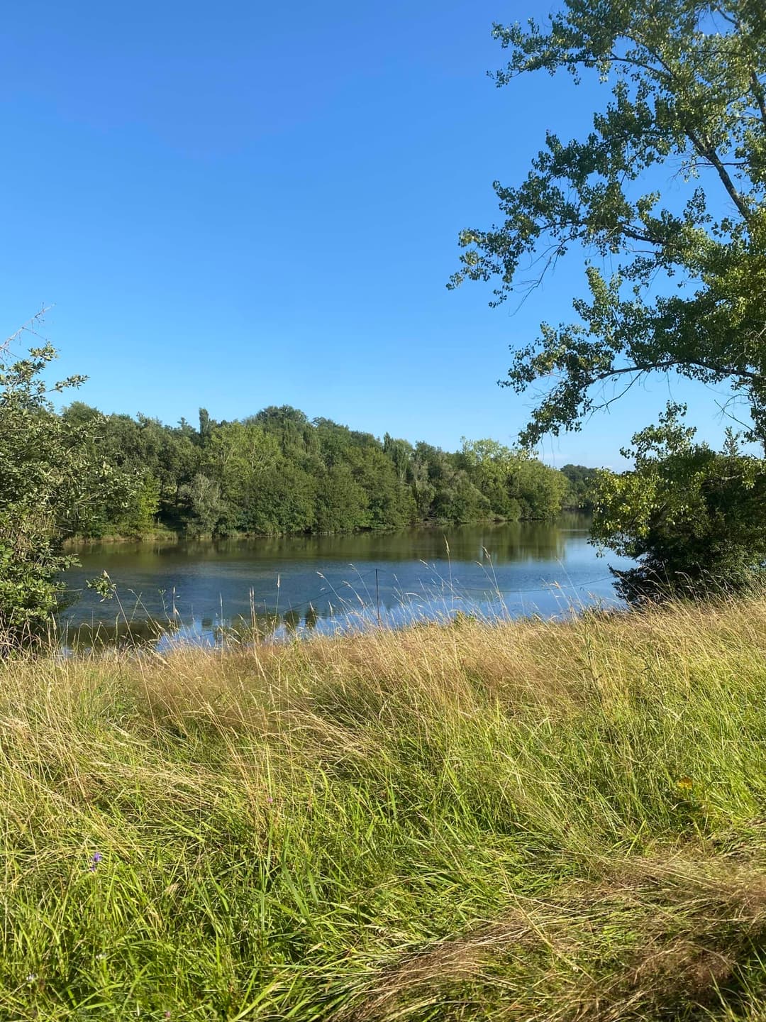 Étang de 8 hectares à louer dans le département du Gers 