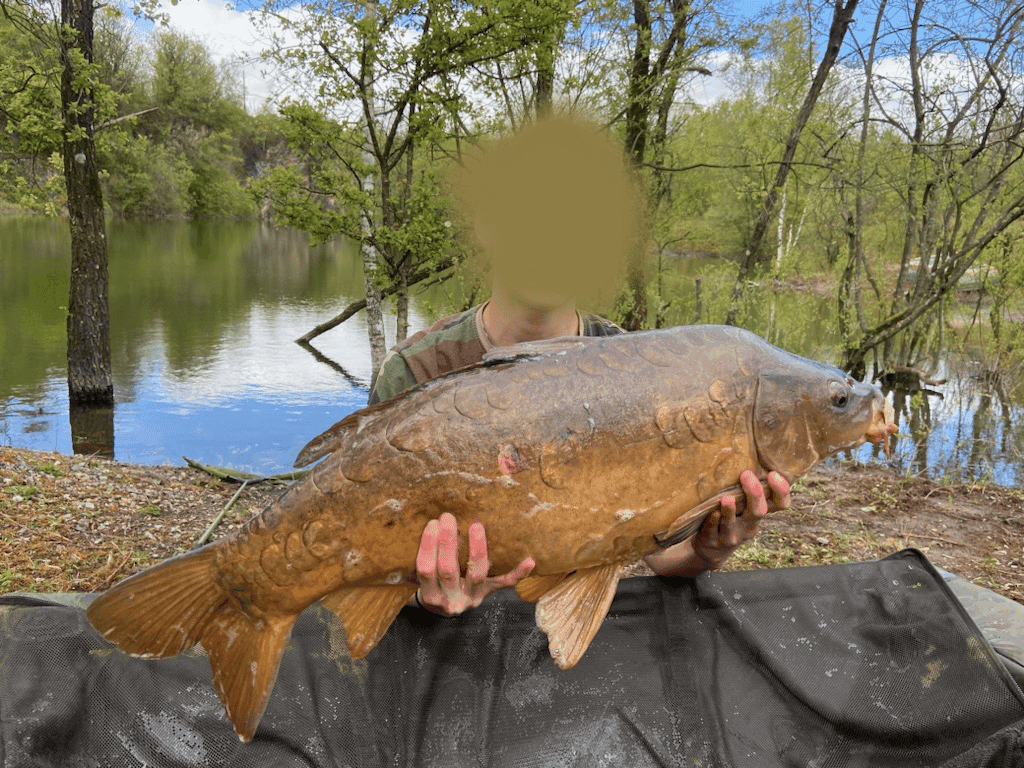 Etang en gravière de 2.5ha avec 12m de profondeur