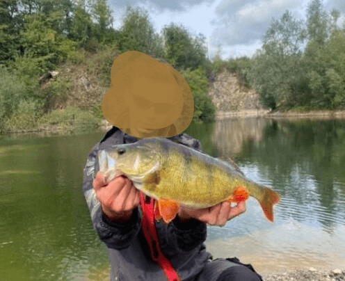 Etang en gravière de 2.5ha avec 12m de profondeur
