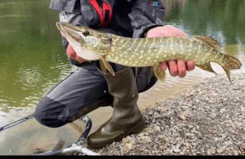 Etang en gravière de 2.5ha avec 12m de profondeur