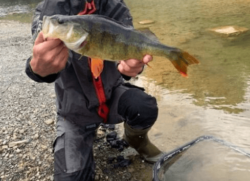 Etang en gravière de 2.5ha avec 12m de profondeur