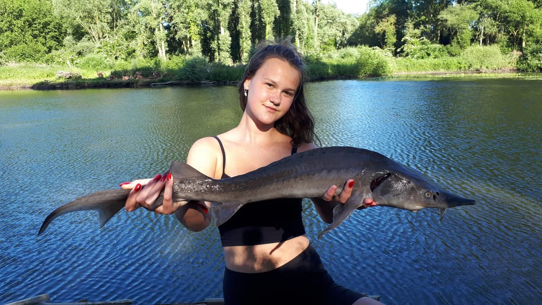 Profitez d’un étang paisible et naturel près de Lille 