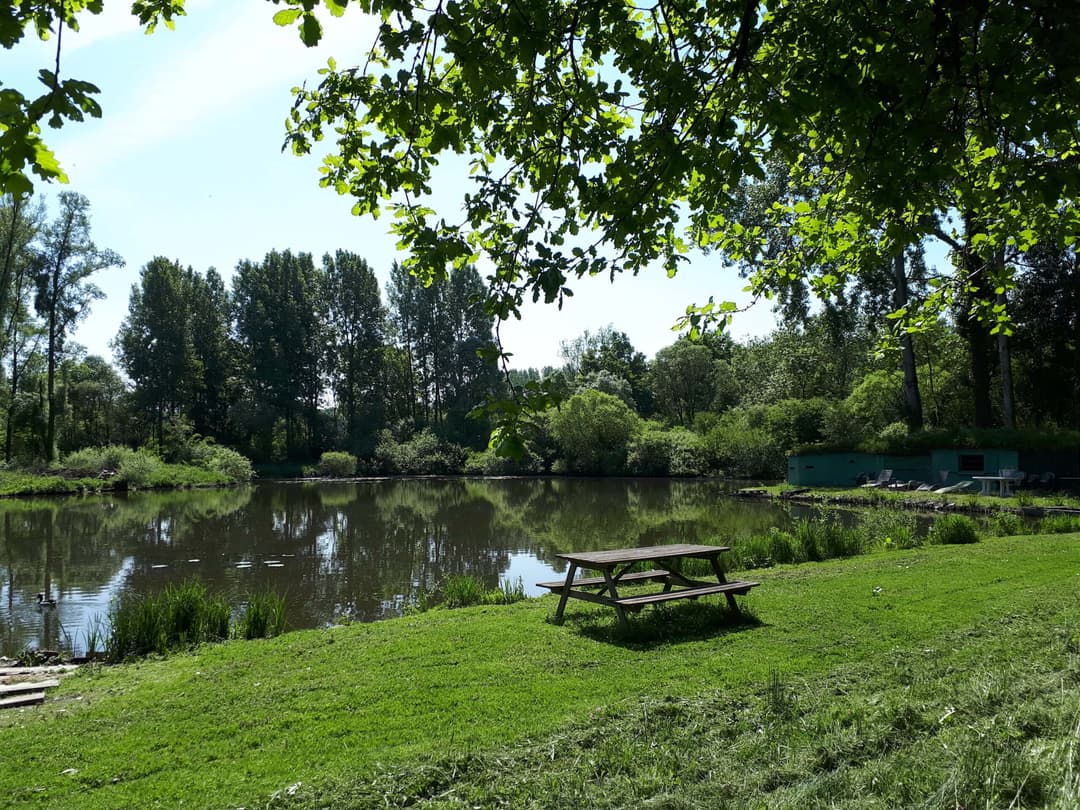 Profitez d’un étang paisible et naturel près de Lille 