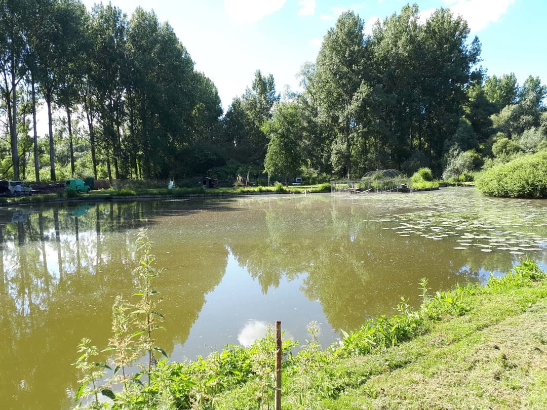 Profitez d’un étang paisible et naturel près de Lille 