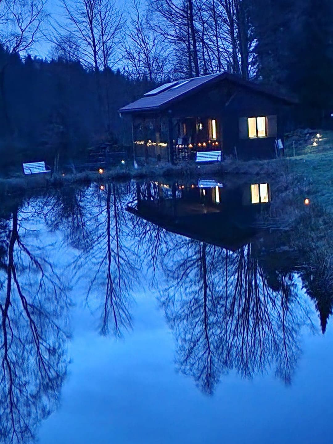 Chalet et étang près de Gérardmer 