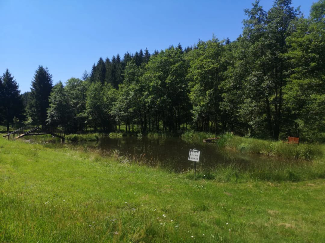 Chalet et étang près de Gérardmer 