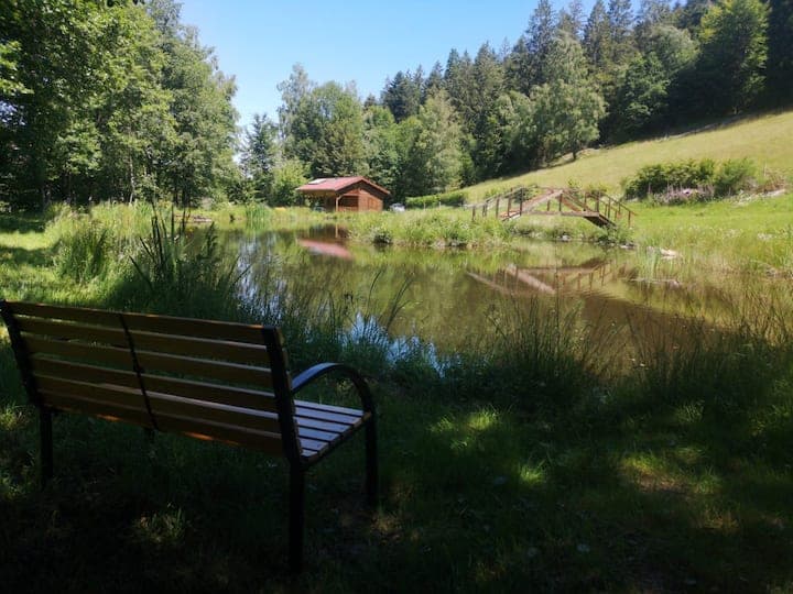 Chalet et étang près de Gérardmer 