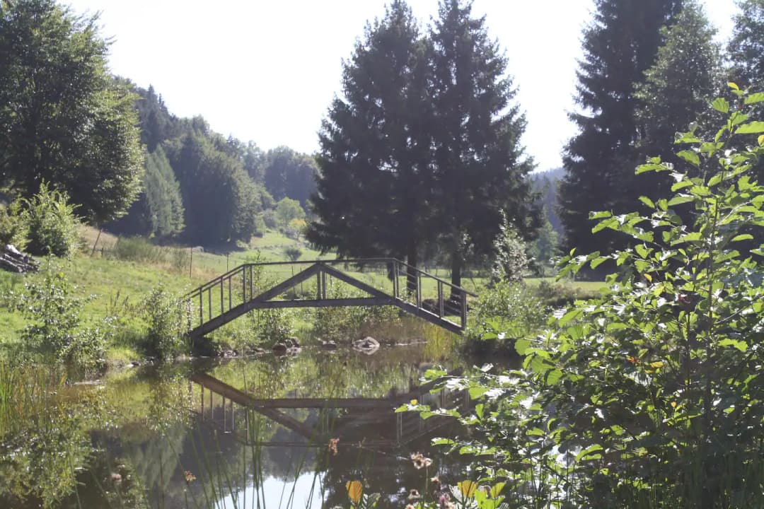 Chalet et étang près de Gérardmer 