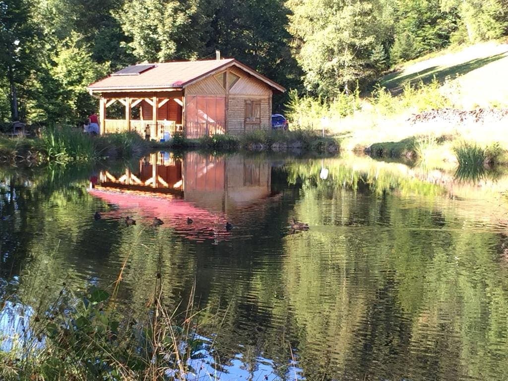 Chalet et étang près de Gérardmer 
