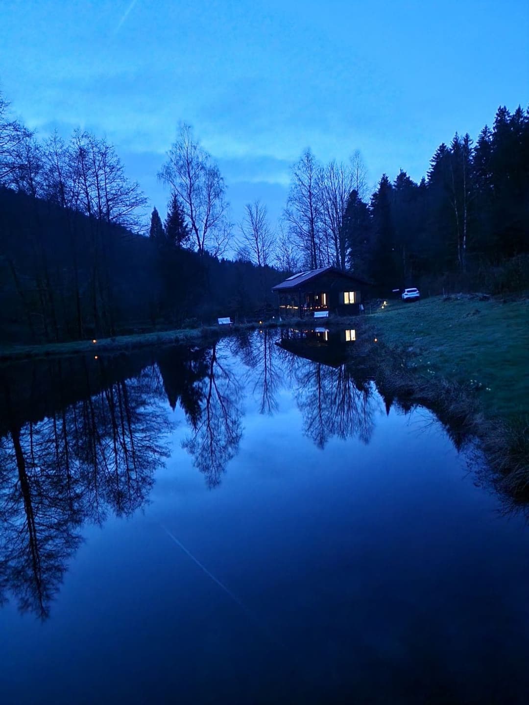 Chalet et étang près de Gérardmer 