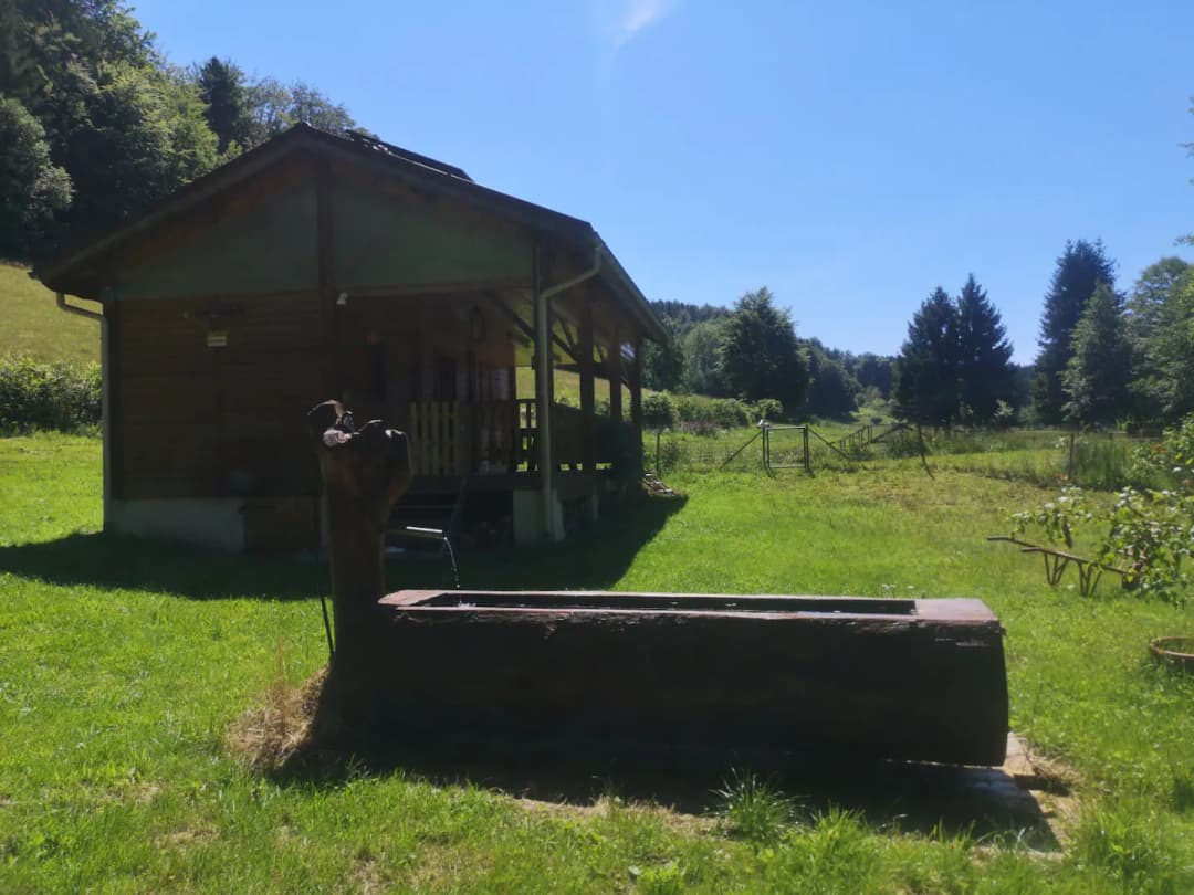 Chalet et étang près de Gérardmer 
