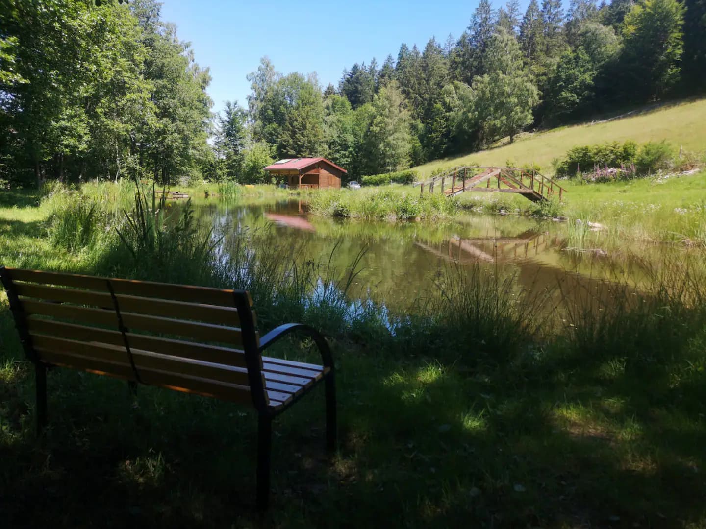Chalet et étang près de Gérardmer 