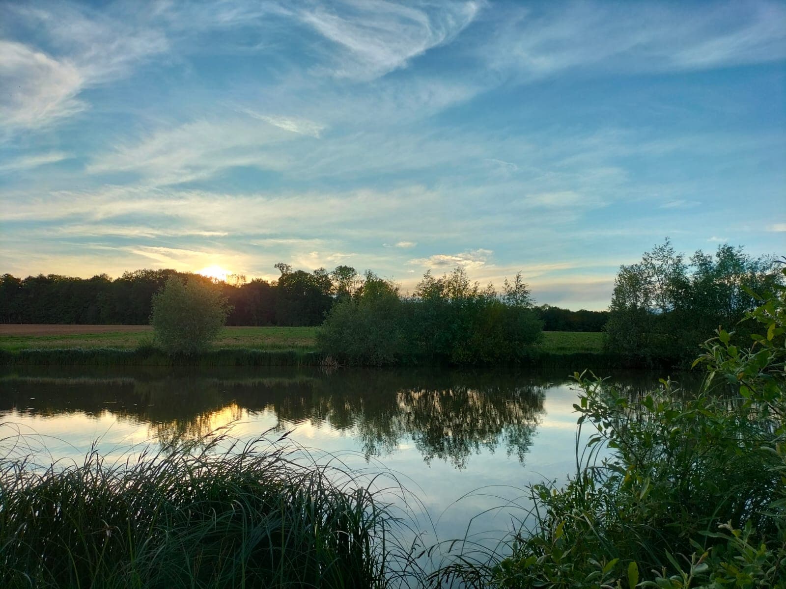 Etang au coeur des champs à louer pour un weekend 
