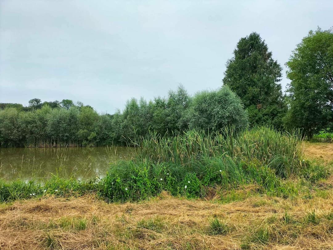 Etang au coeur des champs à louer pour un weekend 