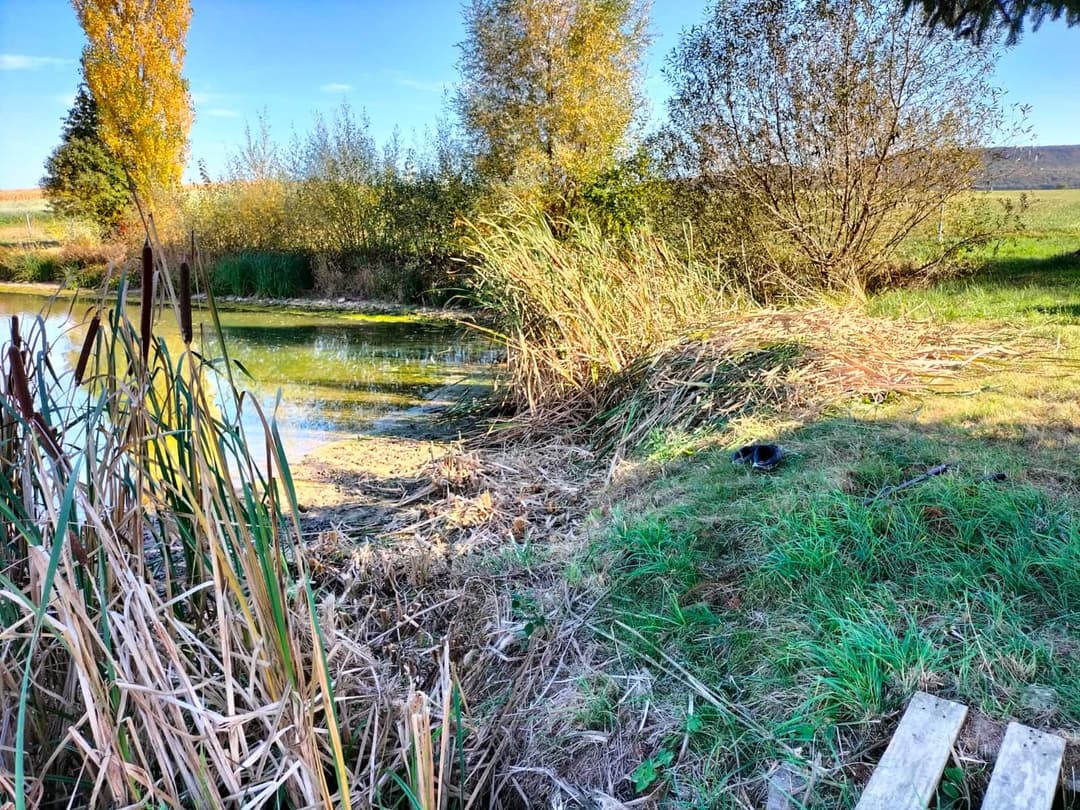 Etang au coeur des champs à louer pour un weekend 