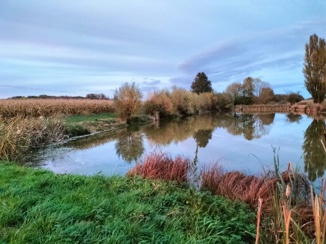 Etang au coeur des champs à louer pour un weekend 
