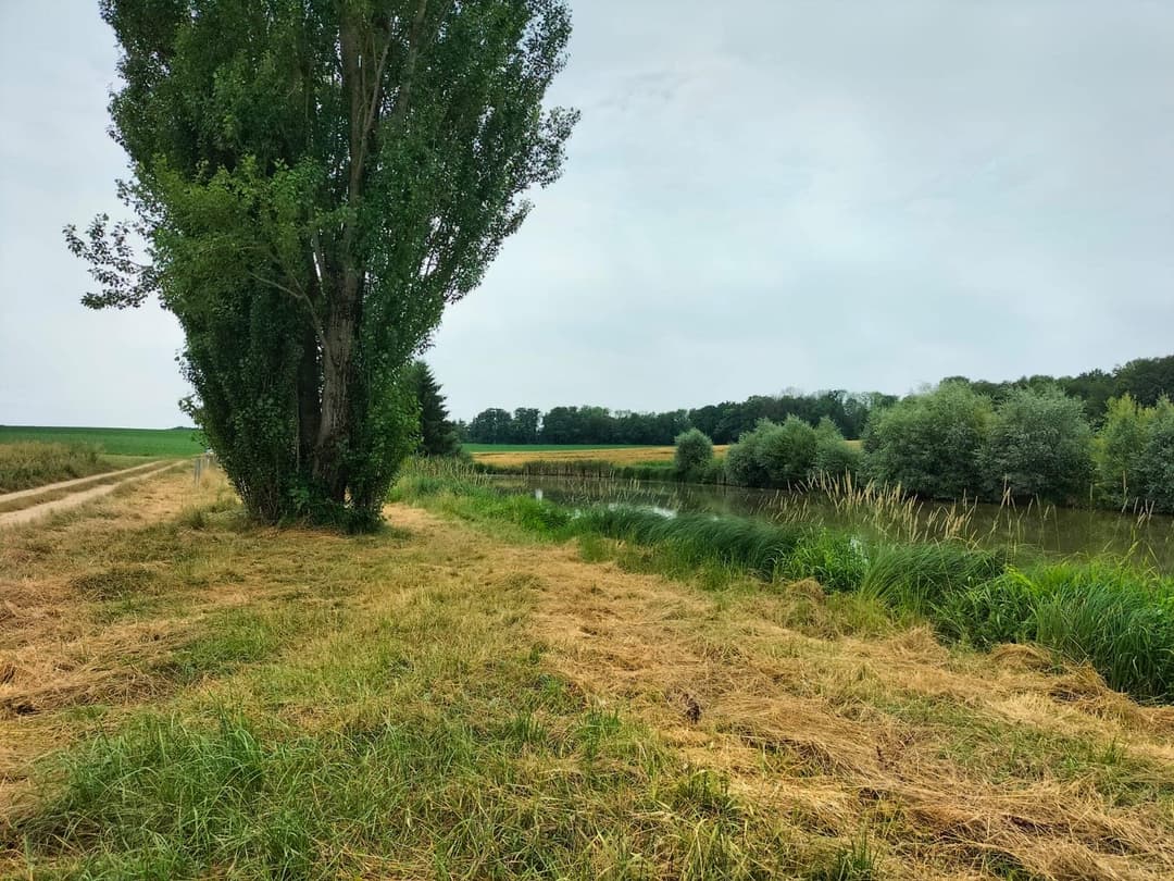 Etang au coeur des champs à louer pour un weekend 