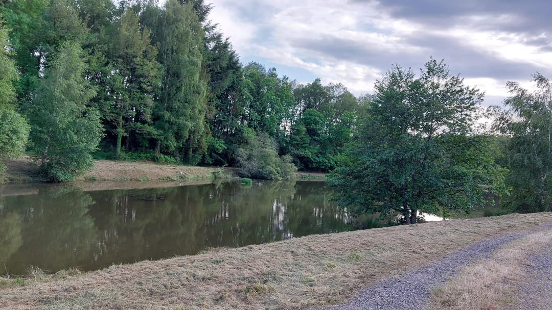 Etang au calme, pèche et détente 