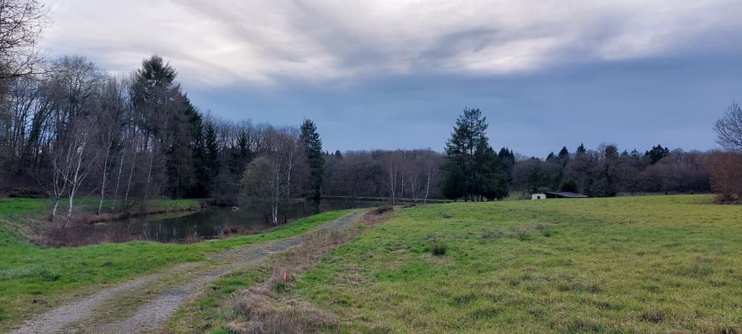 Etang au calme, pèche et détente 