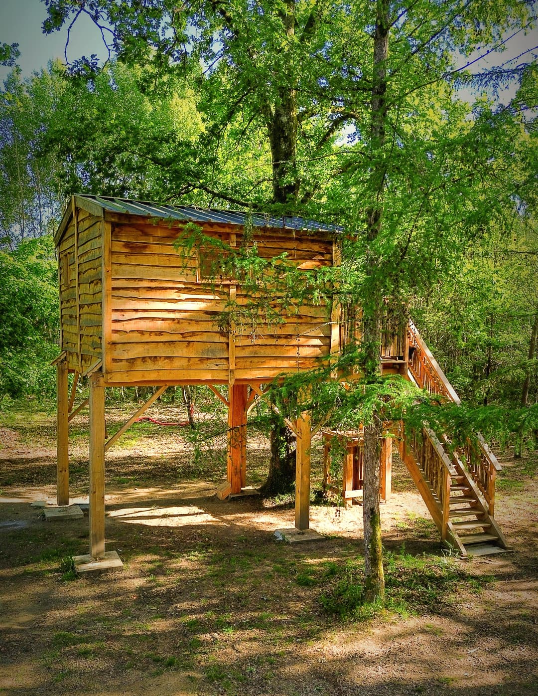 cabane perchée
