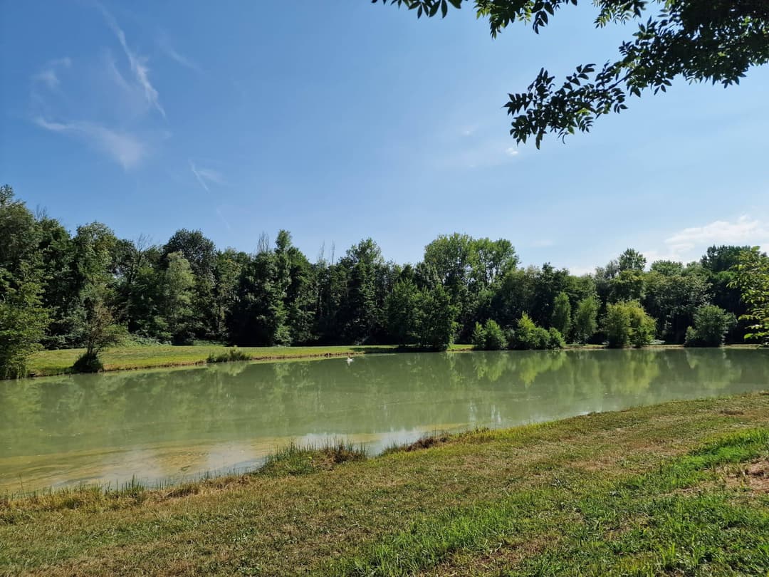 Coin nature au bord d’un étang avec cabane pour la journée 