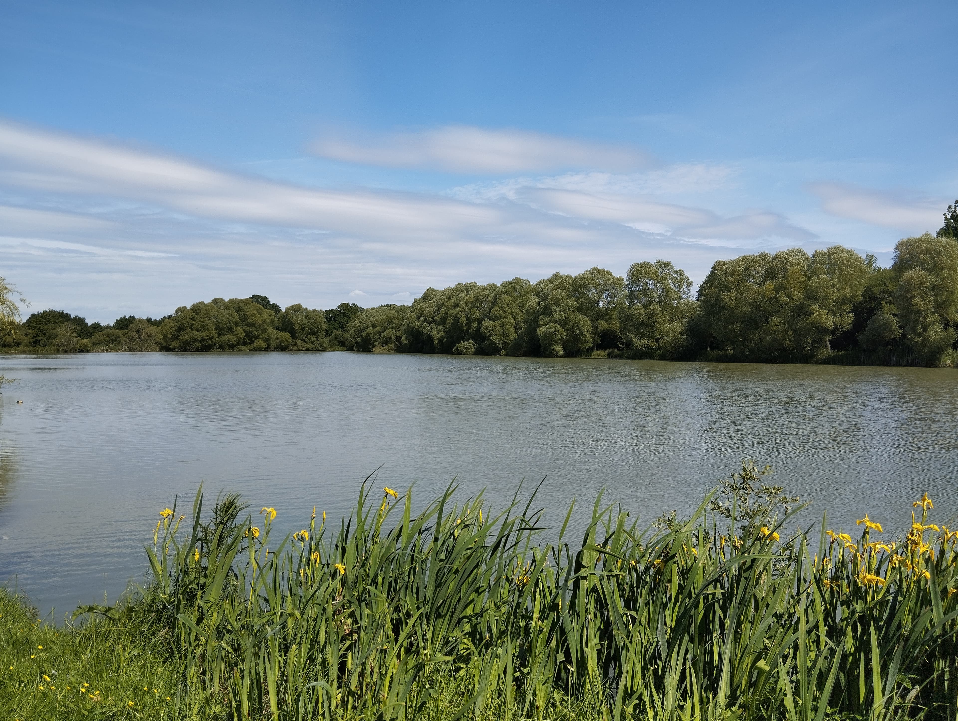 Étang de 2,5 hectares avec Bungalow jusqu'à 4 personnes et son poste de pêche pour 2 pêcheurs