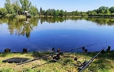 Gîte pour 6 personnes avec un étang de 2,5 hectares