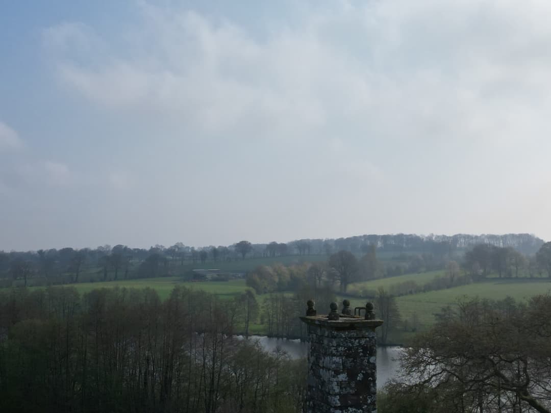 Etang avec un fort empoissonnement – Etang des milles et une carpe 