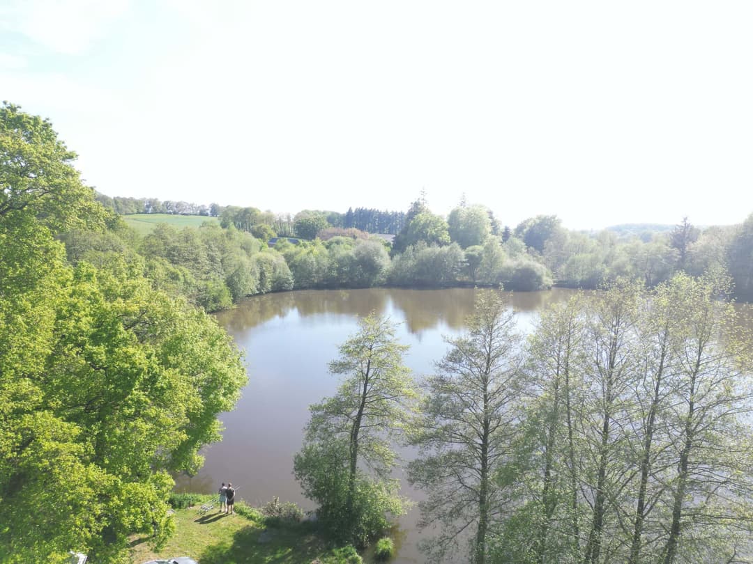 Etang avec un fort empoissonnement – Etang des milles et une carpe 