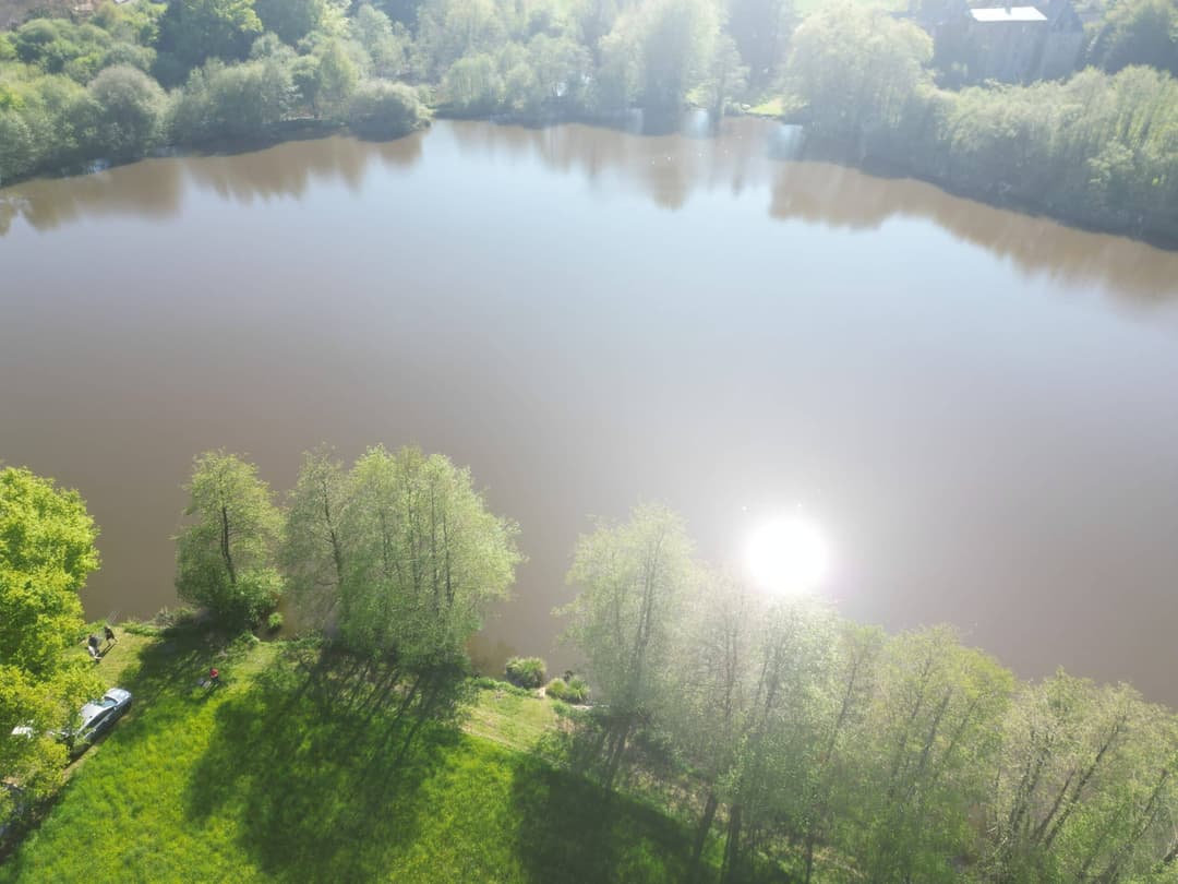 Etang avec un fort empoissonnement – Etang des milles et une carpe 