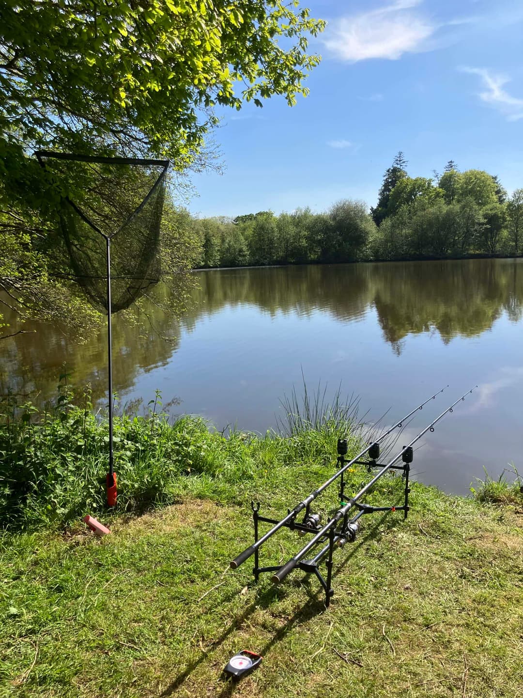 Etang avec un fort empoissonnement – Etang des milles et une carpe 