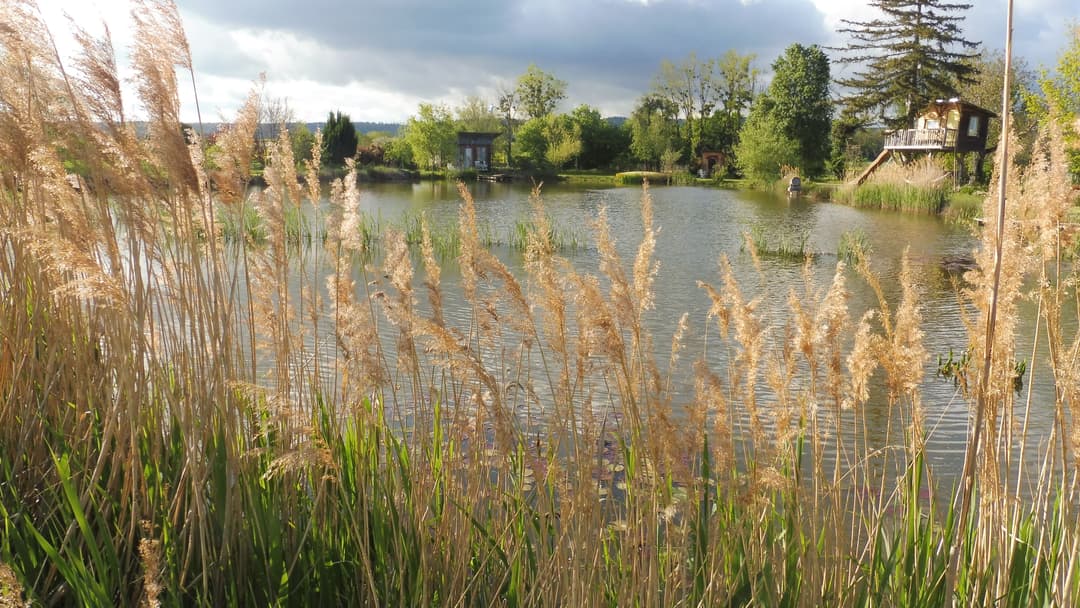 Location d'un étang avec sa cabane en bois à 1h de Lyon
