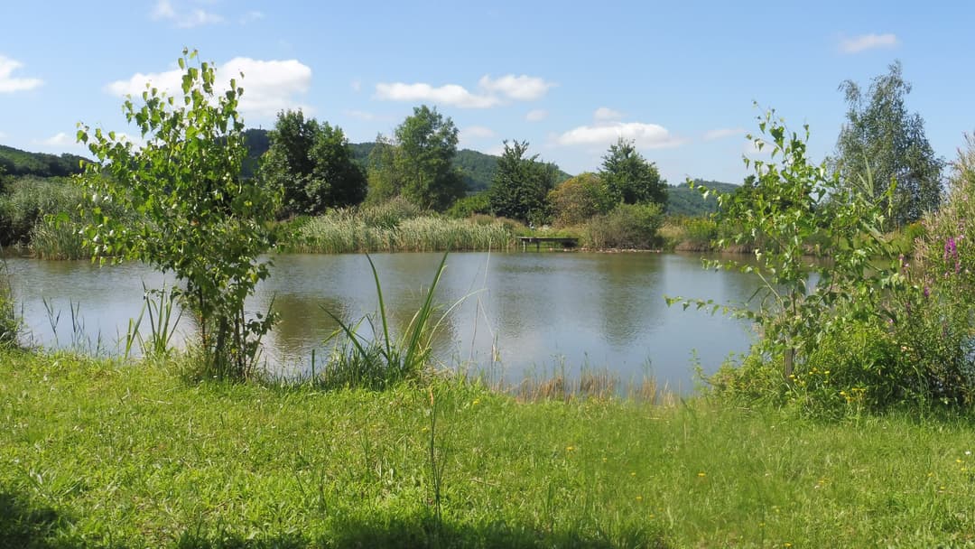 Location d'un étang avec sa cabane en bois à 1h de Lyon