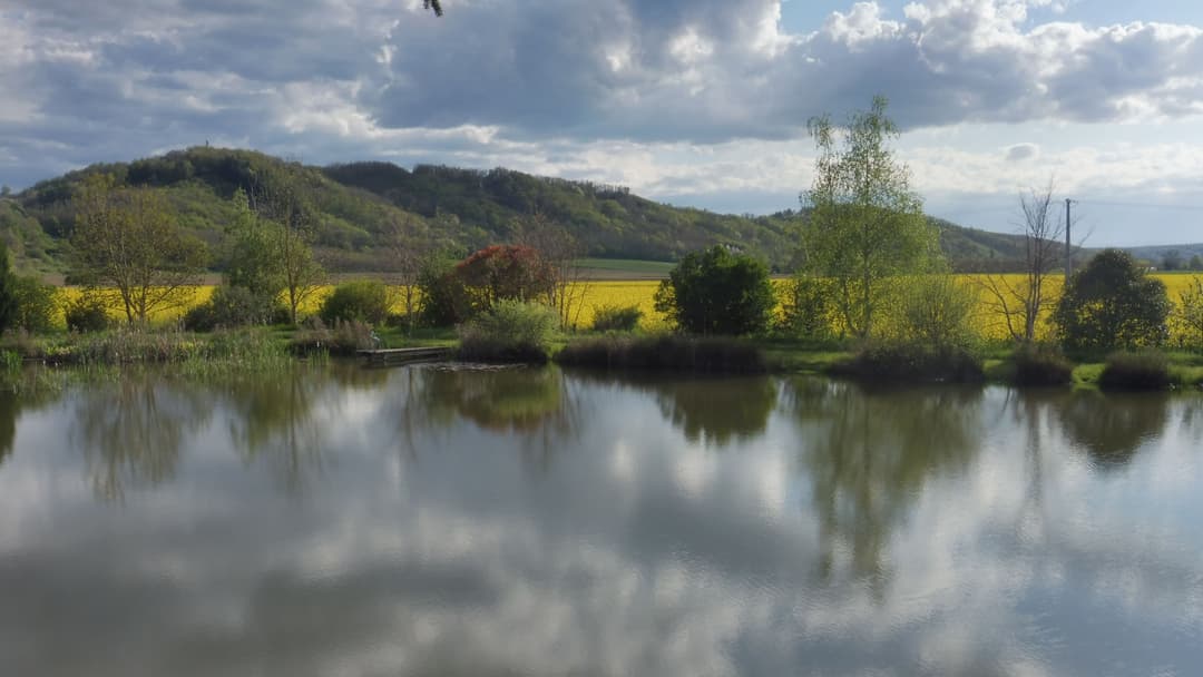 Location d'un étang avec sa cabane en bois à 1h de Lyon