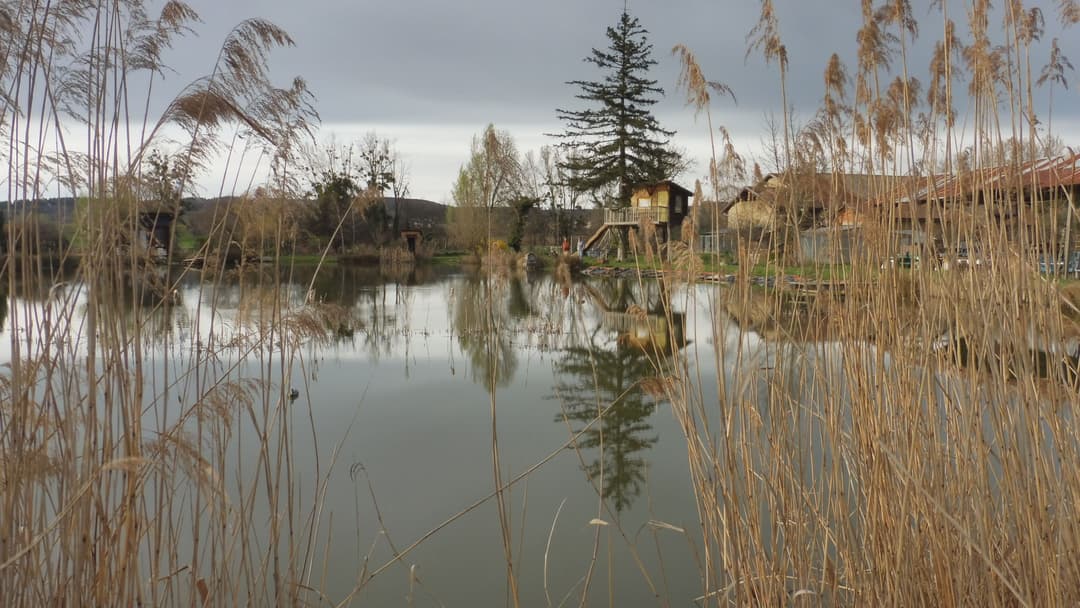 Location d'un étang avec sa cabane en bois à 1h de Lyon