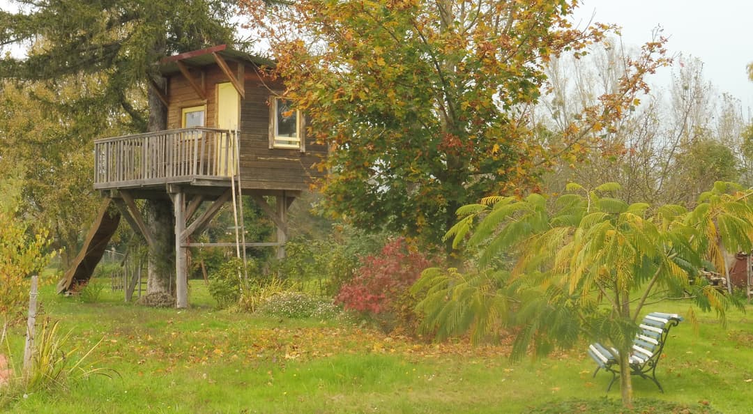 Location d'un étang avec sa cabane en bois à 1h de Lyon