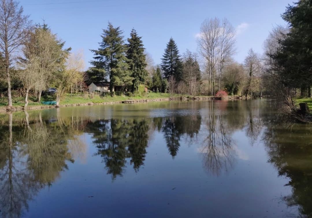 Étang privé en Mayenne avec terrain de pétanque 