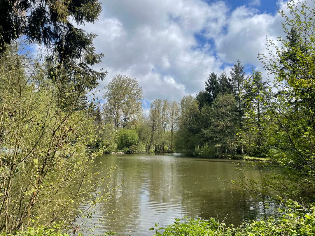 Étang privé en Mayenne avec terrain de pétanque 