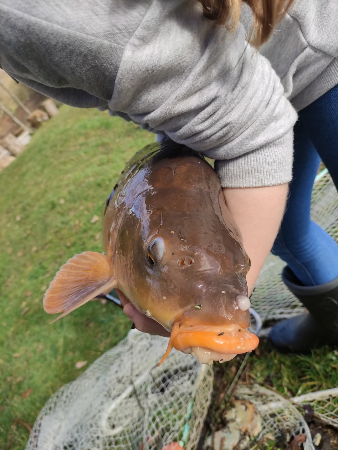 Etang au cœur de la campagne Mayennaise, parfait pour une journée ou un weekend pêche et barbecue