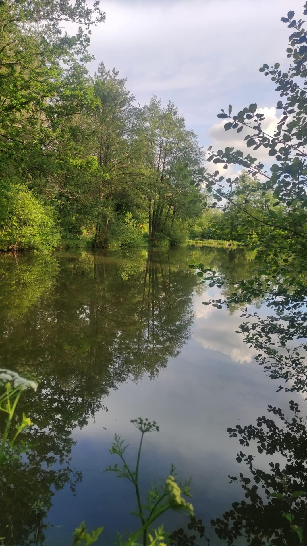 Etang au cœur de la campagne Mayennaise, parfait pour une journée ou un weekend pêche et barbecue