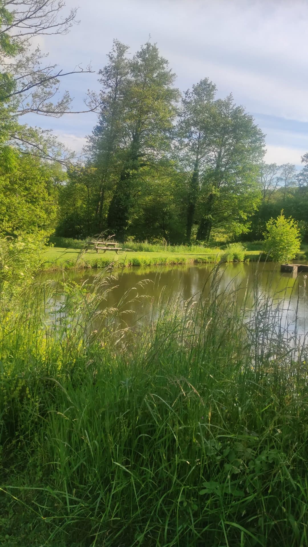 Etang au cœur de la campagne Mayennaise, parfait pour une journée ou un weekend pêche et barbecue