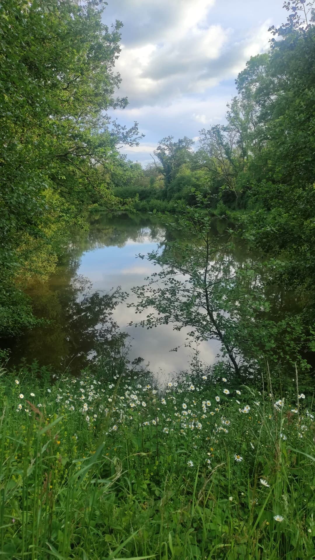 Etang au cœur de la campagne Mayennaise, parfait pour une journée ou un weekend pêche et barbecue