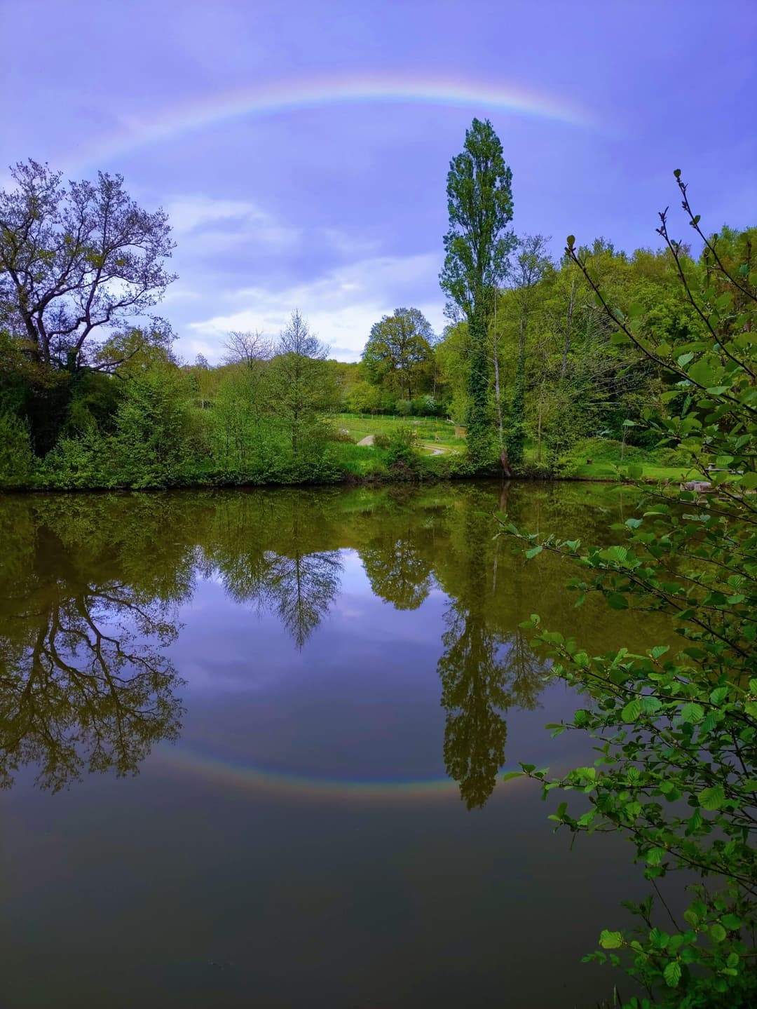 Etang au cœur de la campagne Mayennaise, parfait pour une journée ou un weekend pêche et barbecue