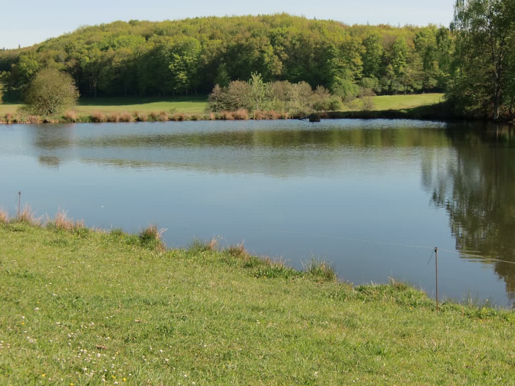 Chalet avec étang de pêche privé à la ferme