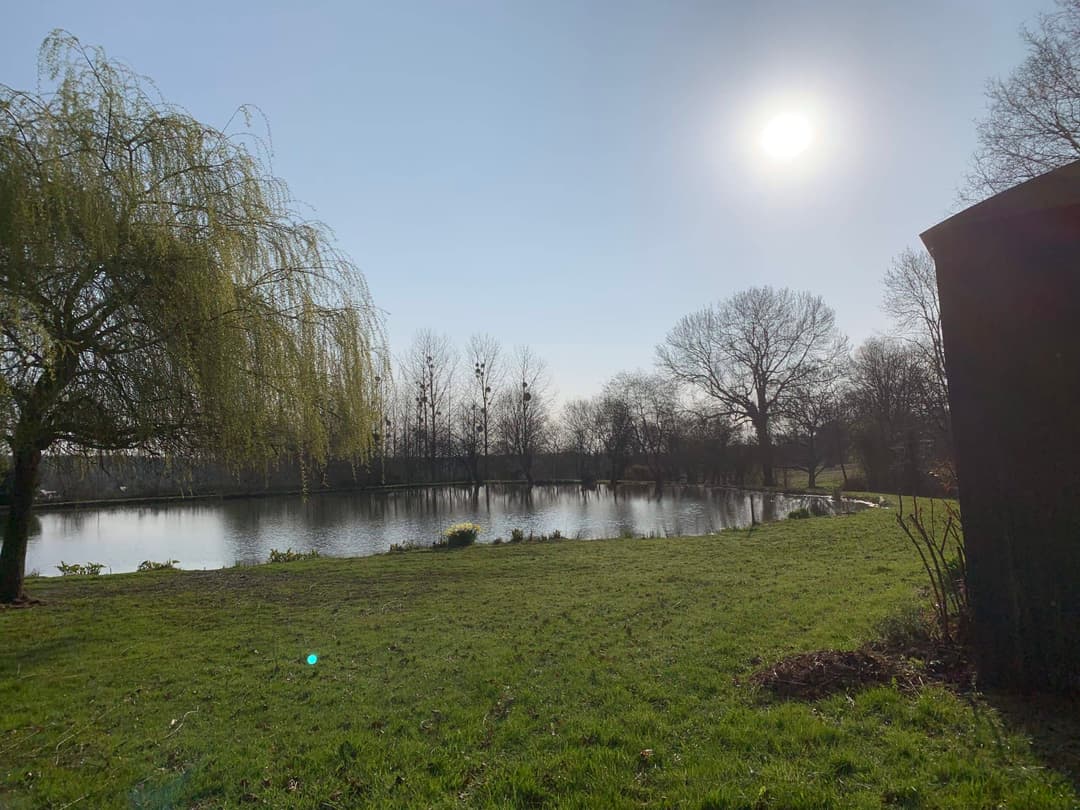 Etang de 1ha au coeur de la nature 