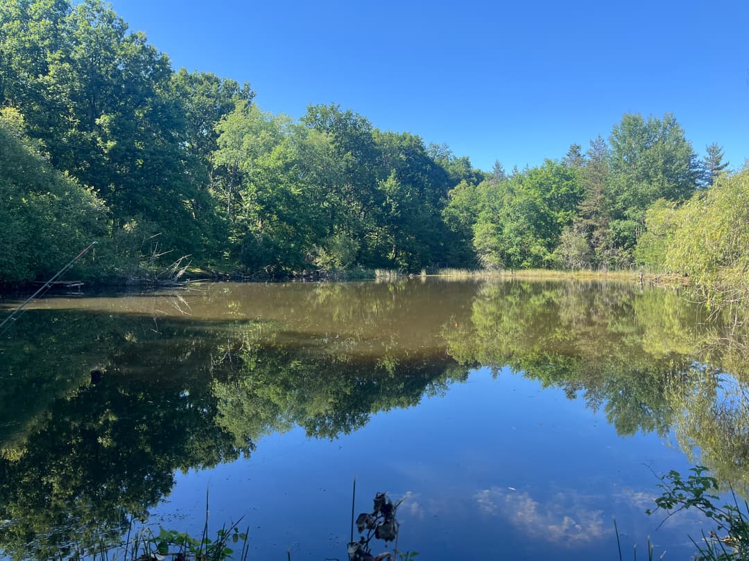 Etang dans 42 hectares de forêt privé