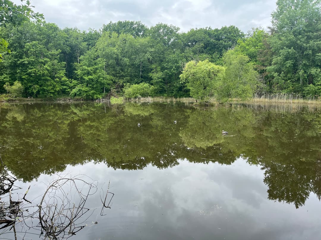 Etang dans 42 hectares de forêt privé